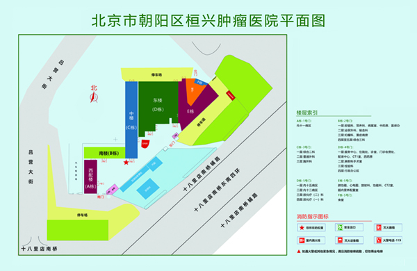 大屌把屄操的哎呀直叫com北京市朝阳区桓兴肿瘤医院平面图